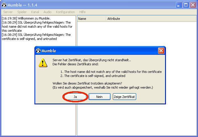 mumble certificate error